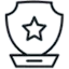 Award Icon